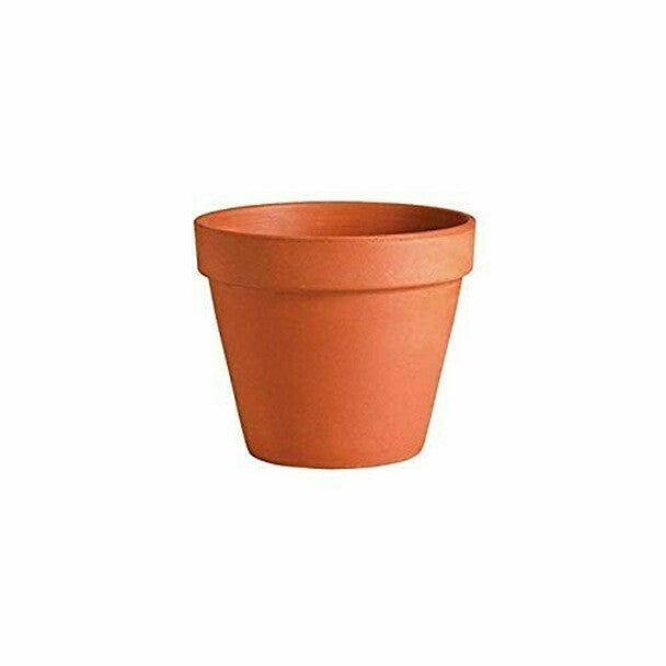 Deroma Terra Cotta Clay Standard Pot 4.5 - Hands Garden Center