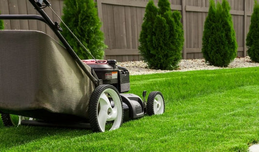Lawn Projects for Spring
