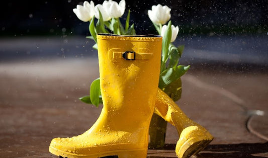 May in the Garden: What to Plant, Prep & Enjoy This Month