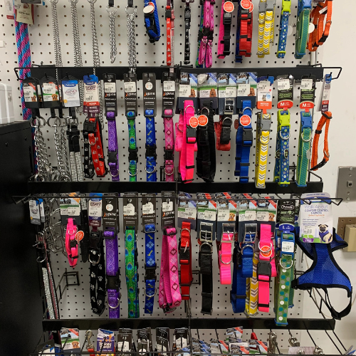 Dog food and supplies displayed inside of B'Ville Supply.