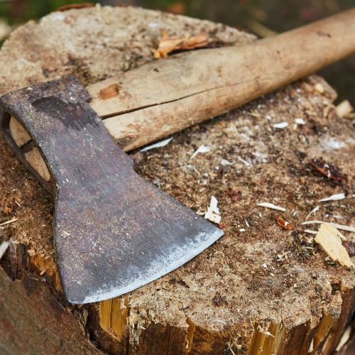 A close-up of a wood axe resting on a cut log.