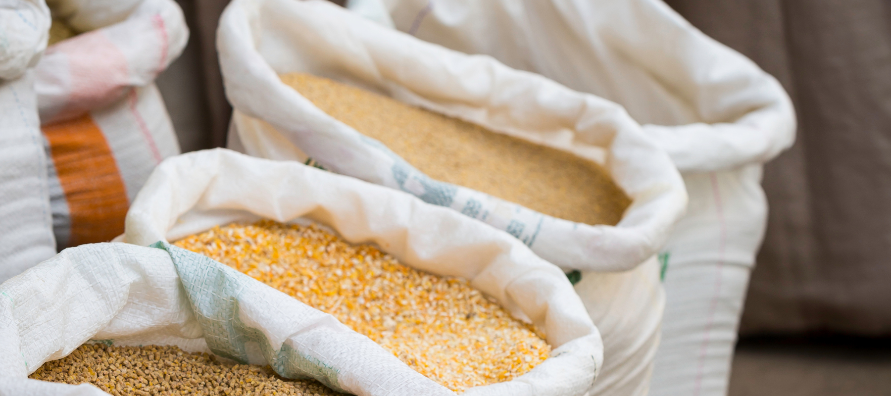 A close-up of open feed bags.