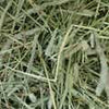 Standlee Premium Hand-Selected Timothy Grass