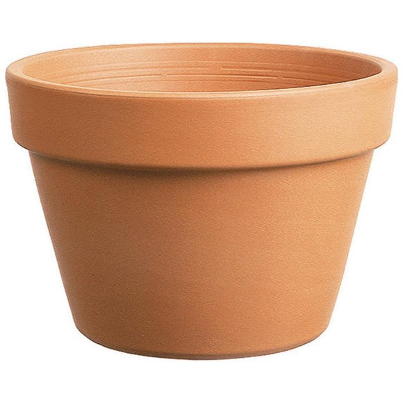 AZALEA CLAY POT (8 INCH, TERRACOTTA)