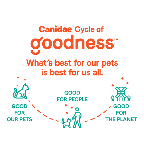 Canidae® Goodness for Indoor Cats Formula with Real Whitefish Dry Cat Food