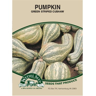 Wetsel Seed Pumpkin - Green Striped Cushaw (4g Packet)