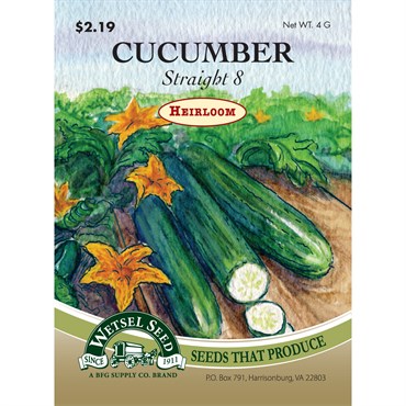 Wetsel Seed Heirloom Cucumber - Straight 8