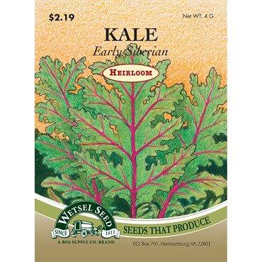 Wetsel Seed Heirloom Kale - Early Siberian