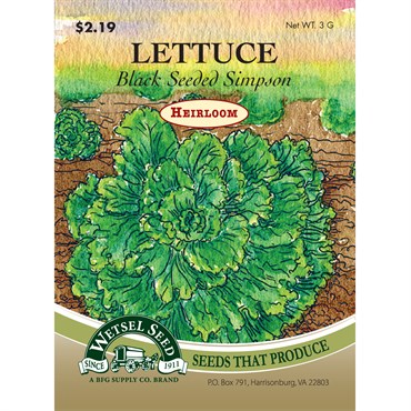 Wetsel Seed Heirloom Lettuce - Black Seeded Simpson