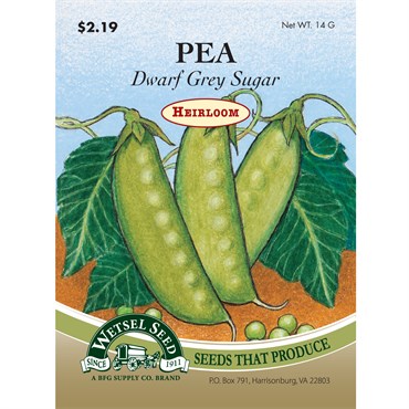 Wetsel Seed Heirloom Sugar Pea - Dwarf Grey