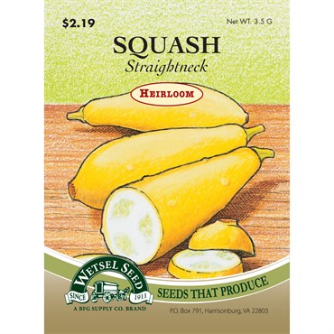 Wetsel Seed Heirloom Squash - Straightneck