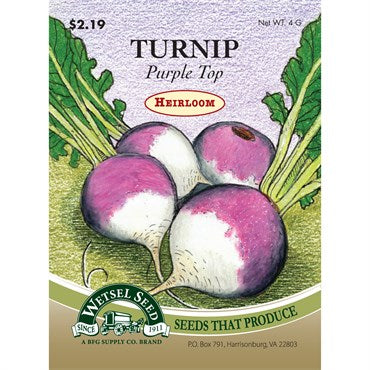 Wetsel Seed Heirloom Turnip - Purple Top