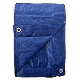 Polyethylene Tarp, Blue, 6 x 8-Ft.