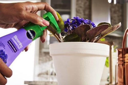 Miracle-Gro® Blooming Houseplant Food