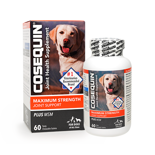 COSEQUIN® DS Maximum Strength Plus MSM & Boswellia