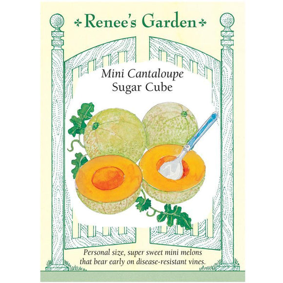 Grow Organic Renee's Garden Melon, Mini Canteloupe Sugar Cube