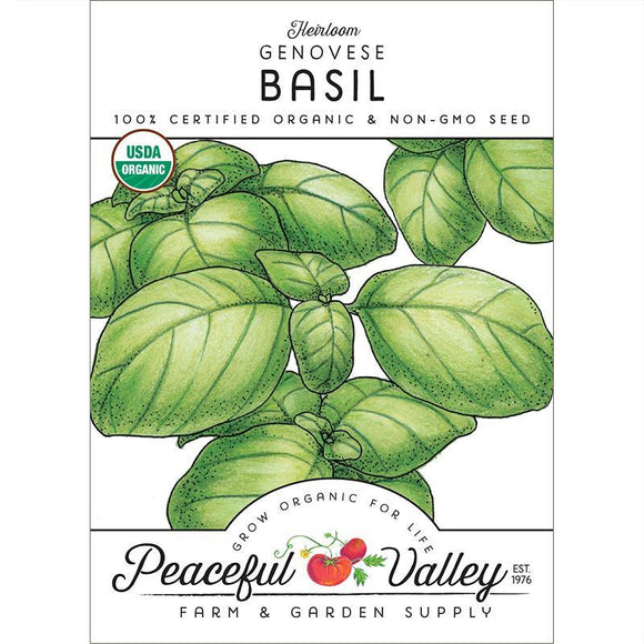 Grow Organic Basil, Genovese