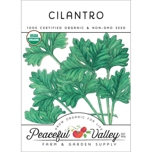 Grow Organic Cilantro