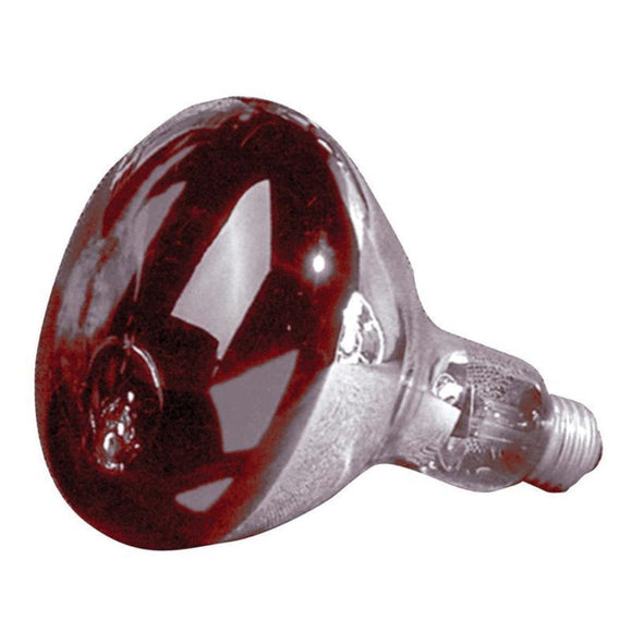 HEAT LAMP BULB